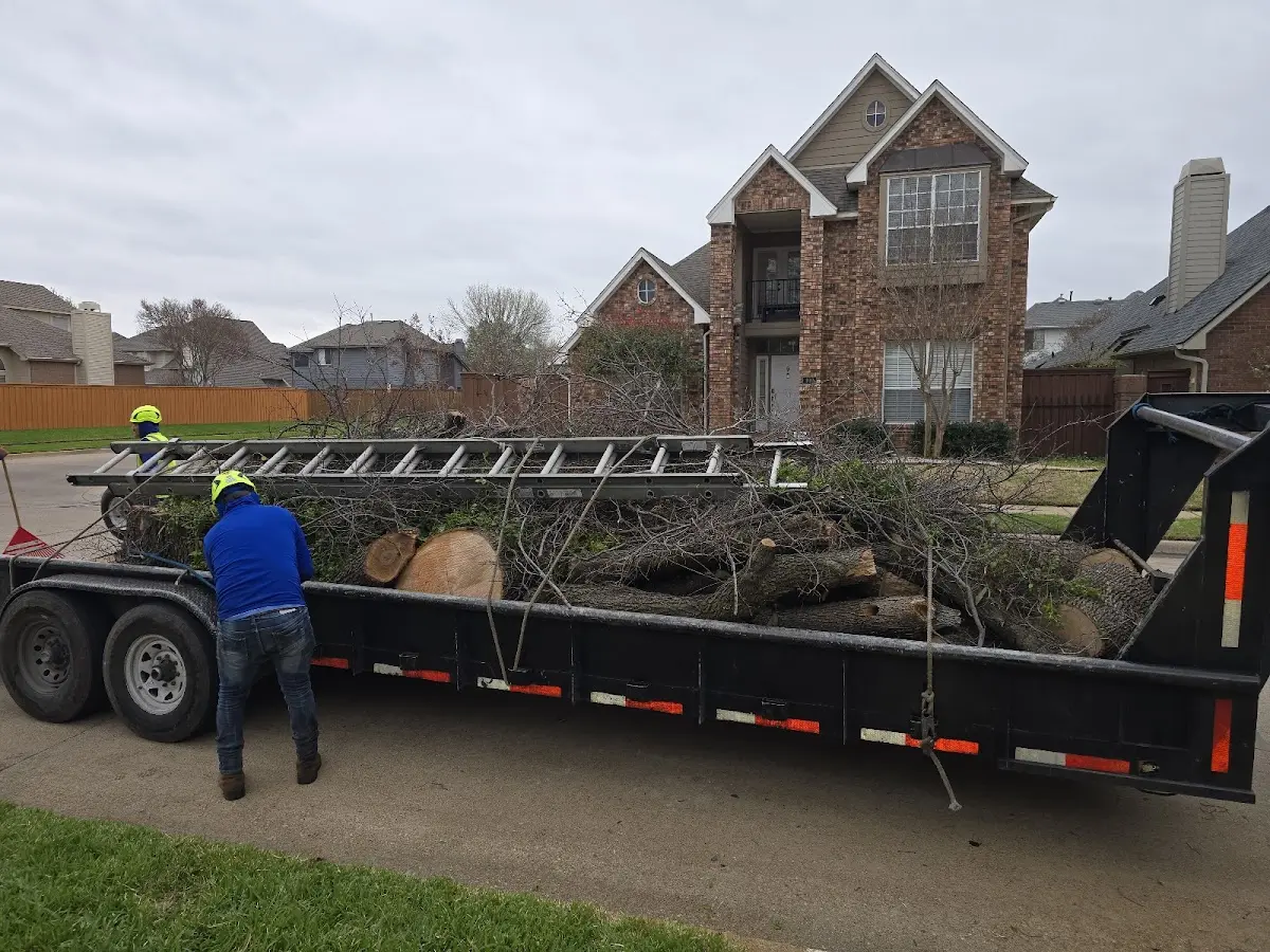 Expert Tree Removal with proper safety equipment in Henry